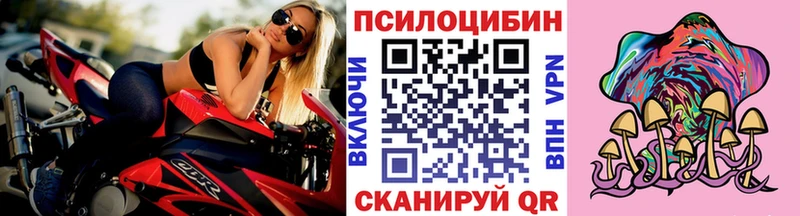 сколько стоит  дарк нет официальный сайт  Галлюциногенные грибы GOLDEN TEACHER  Новоалтайск 